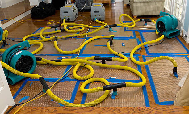 Professional Crawl Space Water Removal technician working in Sardis, OH